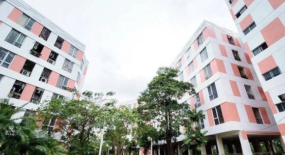 Nhà cho thuê, nhà ở giá phù hợp, mã định danh bất động …