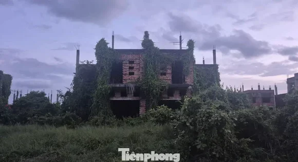 Đồng Nai cảnh báo tình trạng đầu cơ, làm giá nhà đất  …